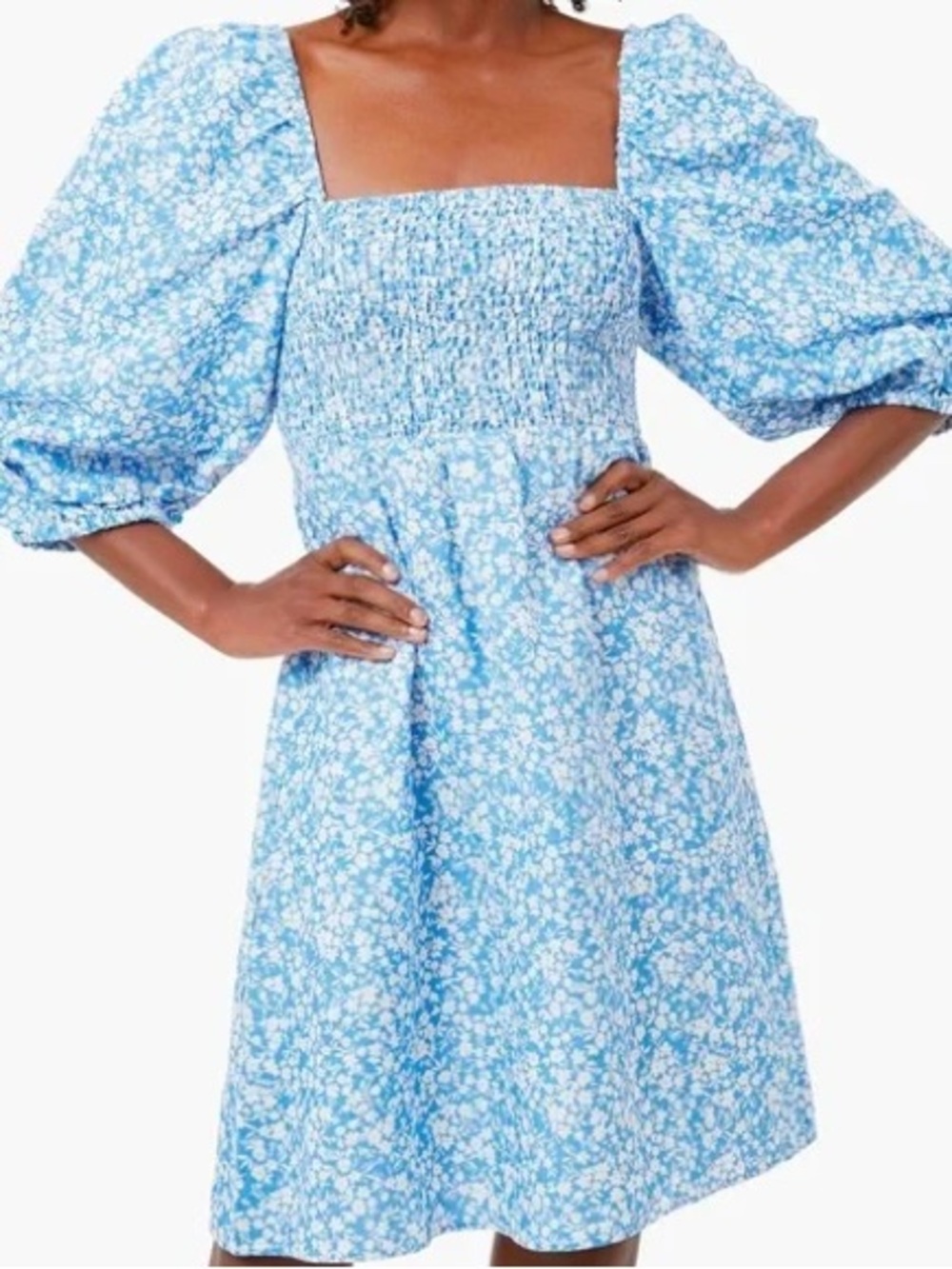 Tuckernuck Blooms on Broad Annie Smocked Dress Blue Floral Linen Blend M